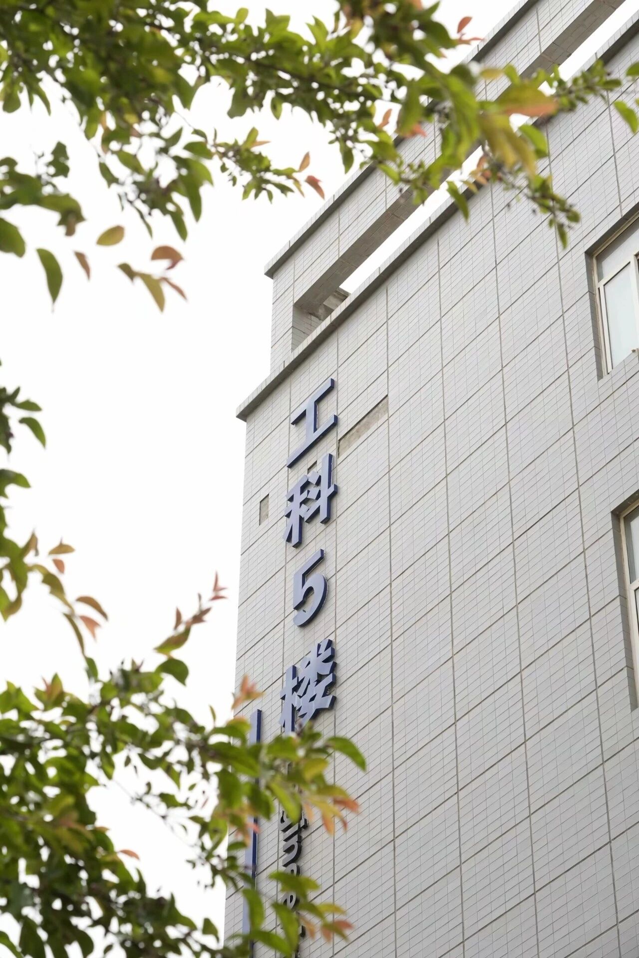 西安工业大学建筑细节