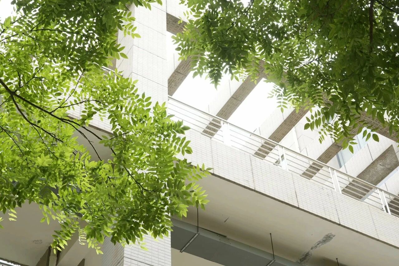 西安工业大学建筑与绿荫
